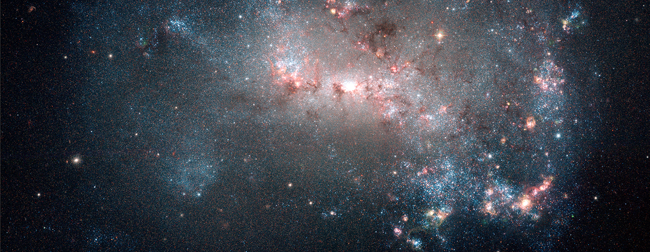 Stellar Fireworks Are Ablaze in Galaxy NGC 4449