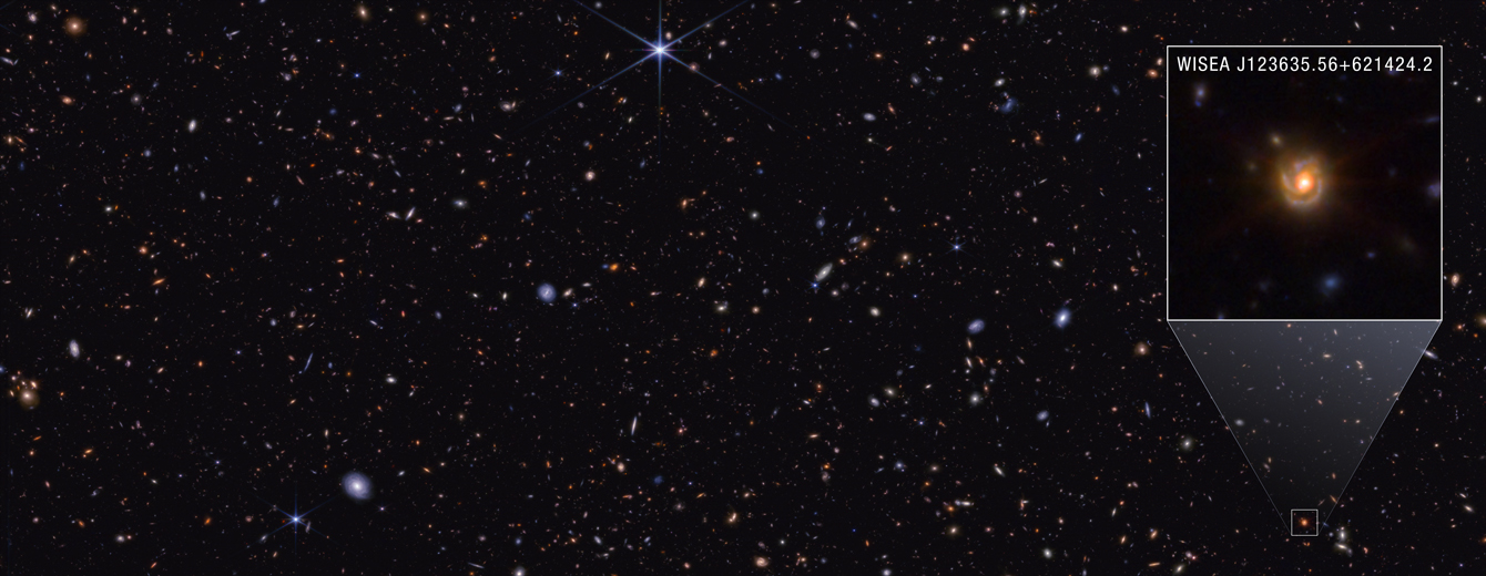 NASA Webb Explores Family Tree of Newly Discovered Distant Objects