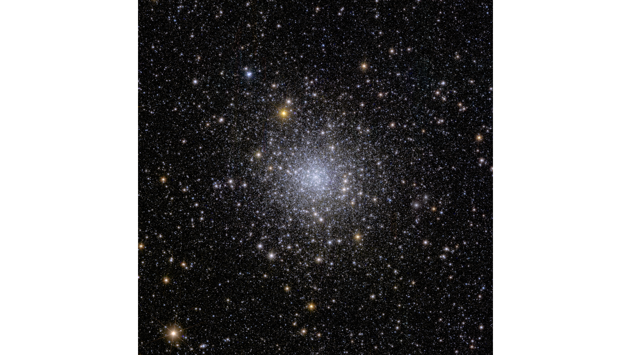 This astronomical image is speckled with thousands of stars against the black background of space. Most stars are visible only as white pinpoints. The great majority of stars are crowding the image’s center, which appears as an irregular round shape. Most stars in the center of this cluster are whiter, and those along periphery edges yellower. The stars across the entire image range in color from blue to white to yellowish red. A few of the stars appear a bit larger and brighter than the rest, with six diffraction spikes.