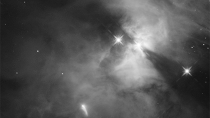 Flapping Bat Shadow Video