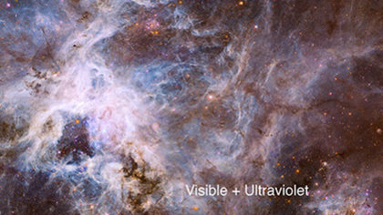 30 Doradus Nebula, Visible and Infrared Comparison (Annotated)