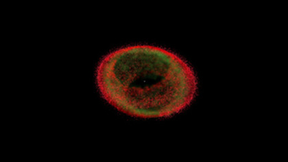 Exploring the Structure of the Ring Nebula