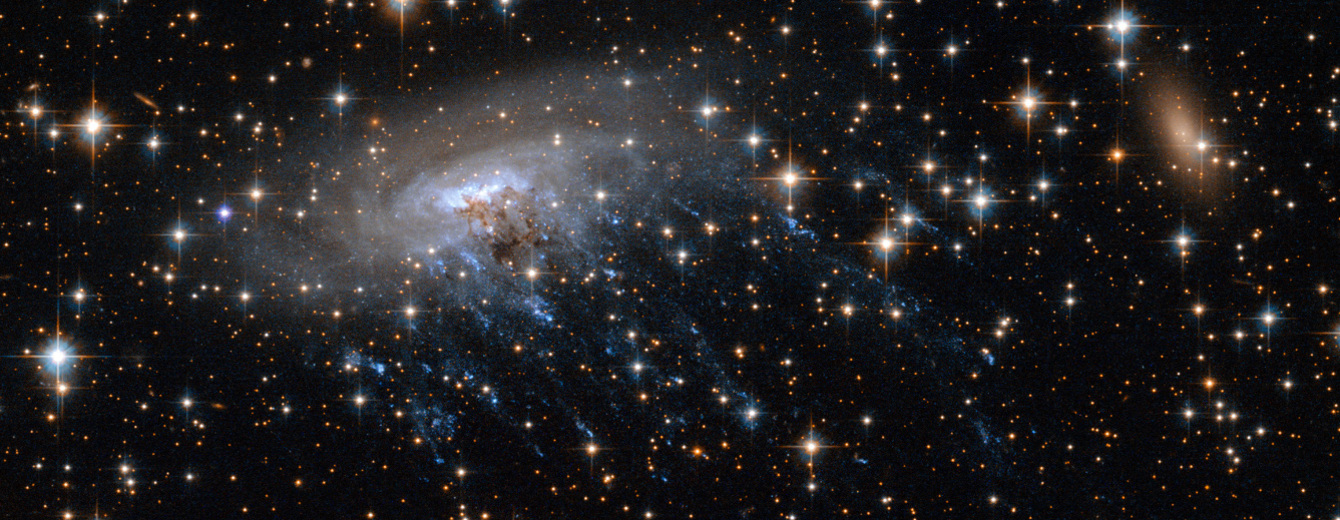 A "Jellyfish" Galaxy Swims Into View of NASA's b Telescope b