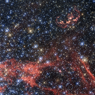 Search For Stellar Survivor of a Supernova Explosion