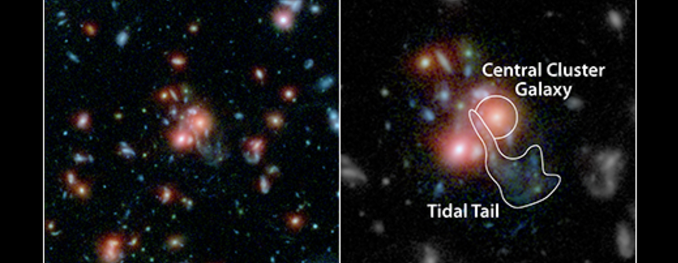 NASA Telescopes Find Galaxy Cluster with Vibrant Heart