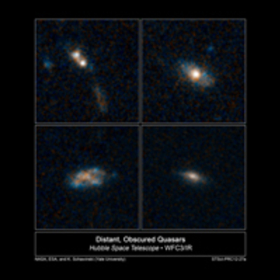Most Quasars Live on Snacks, Not Large Meals