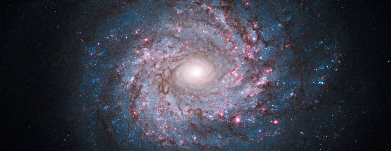 Pinwheel of Star Birth