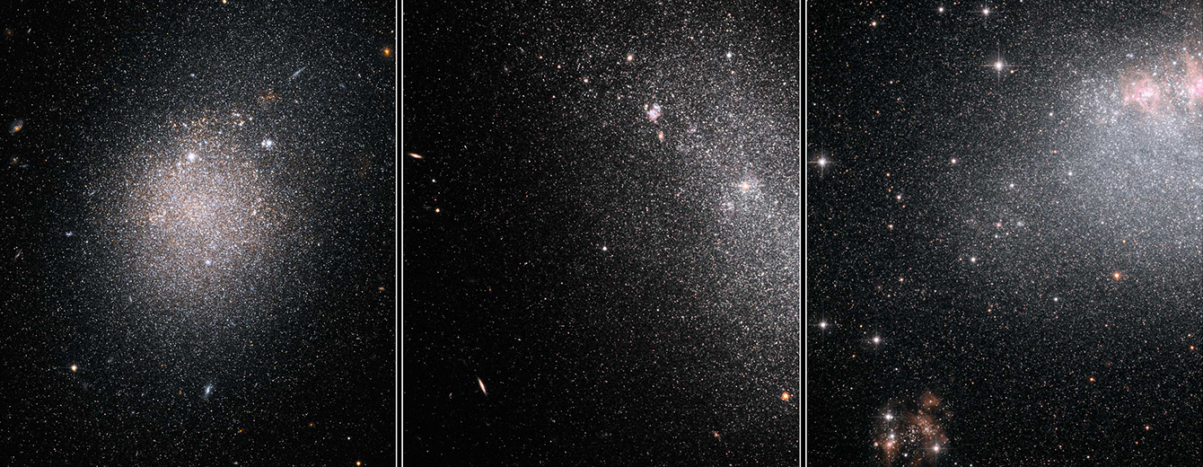 Starbursts in Dwarf Galaxies are a Global Affair