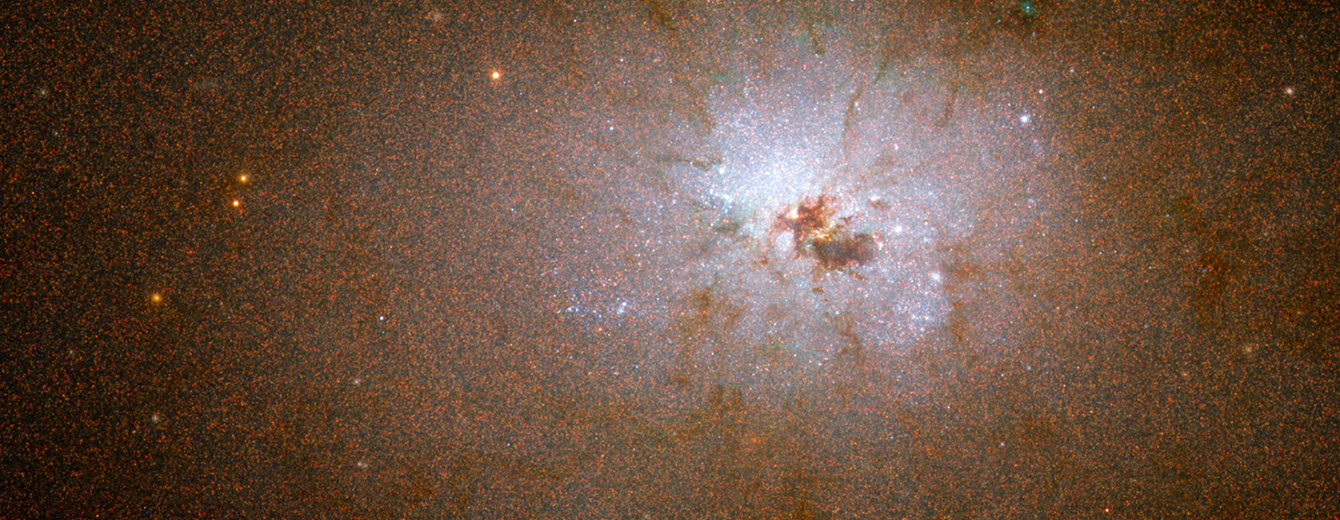 When It Comes to Galaxies, Diversity Is Everywhere