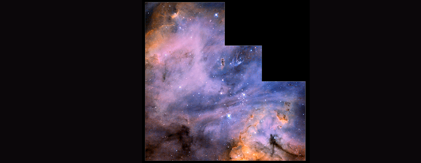 Wispy Dust and Gas Paint Portrait of Starbirth