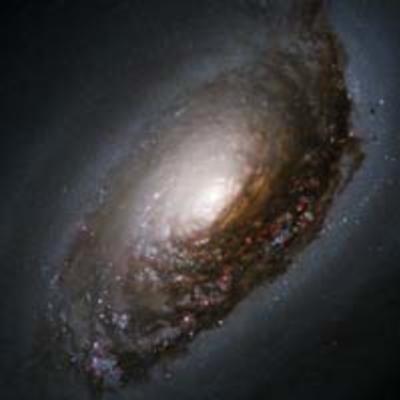An Abrasive Collision Gives One Galaxy a "Black Eye"