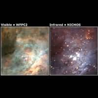 Hubble Spies Brown Dwarfs in Nearby Stellar Nursery