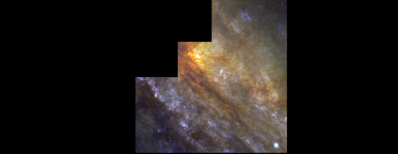 Behind a Dusty Veil Lies a Cradle of Star Birth