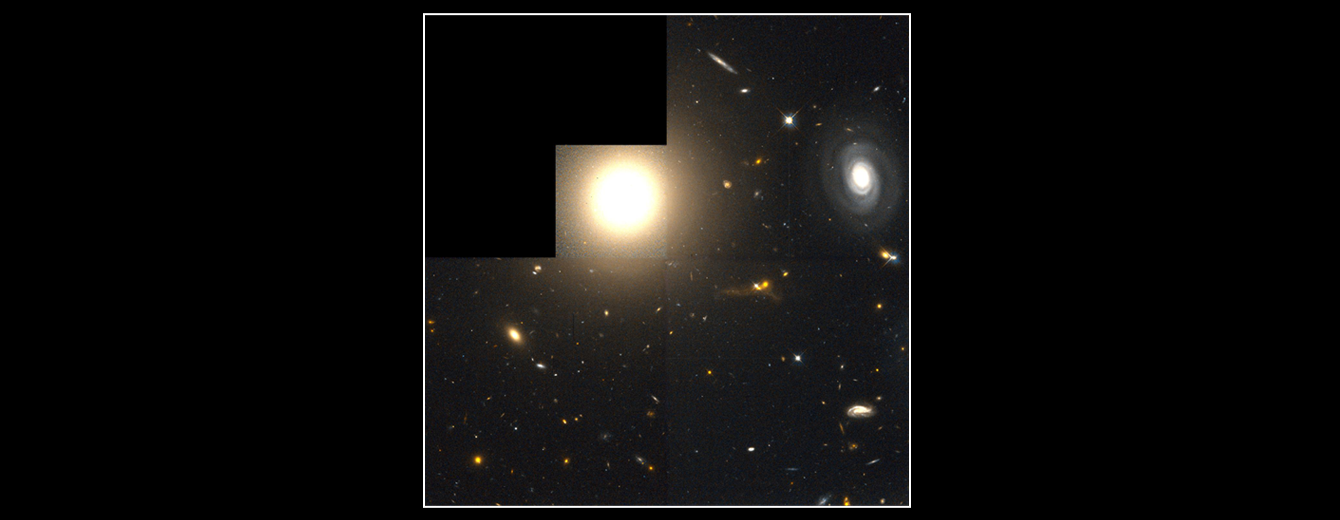 Galaxy NGC 4881 and the Coma Cluster