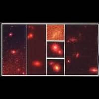 Hubble Space Telescope Sky Survey Reveals Embryonic Galaxies