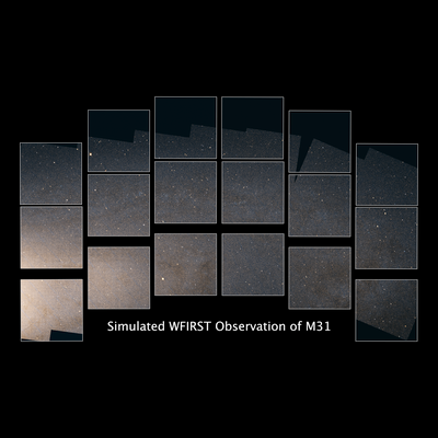 Simulated WFIRST Observation of Andromeda Galaxy