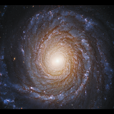 A face-on spiral galaxy takes up almost the entire frame.