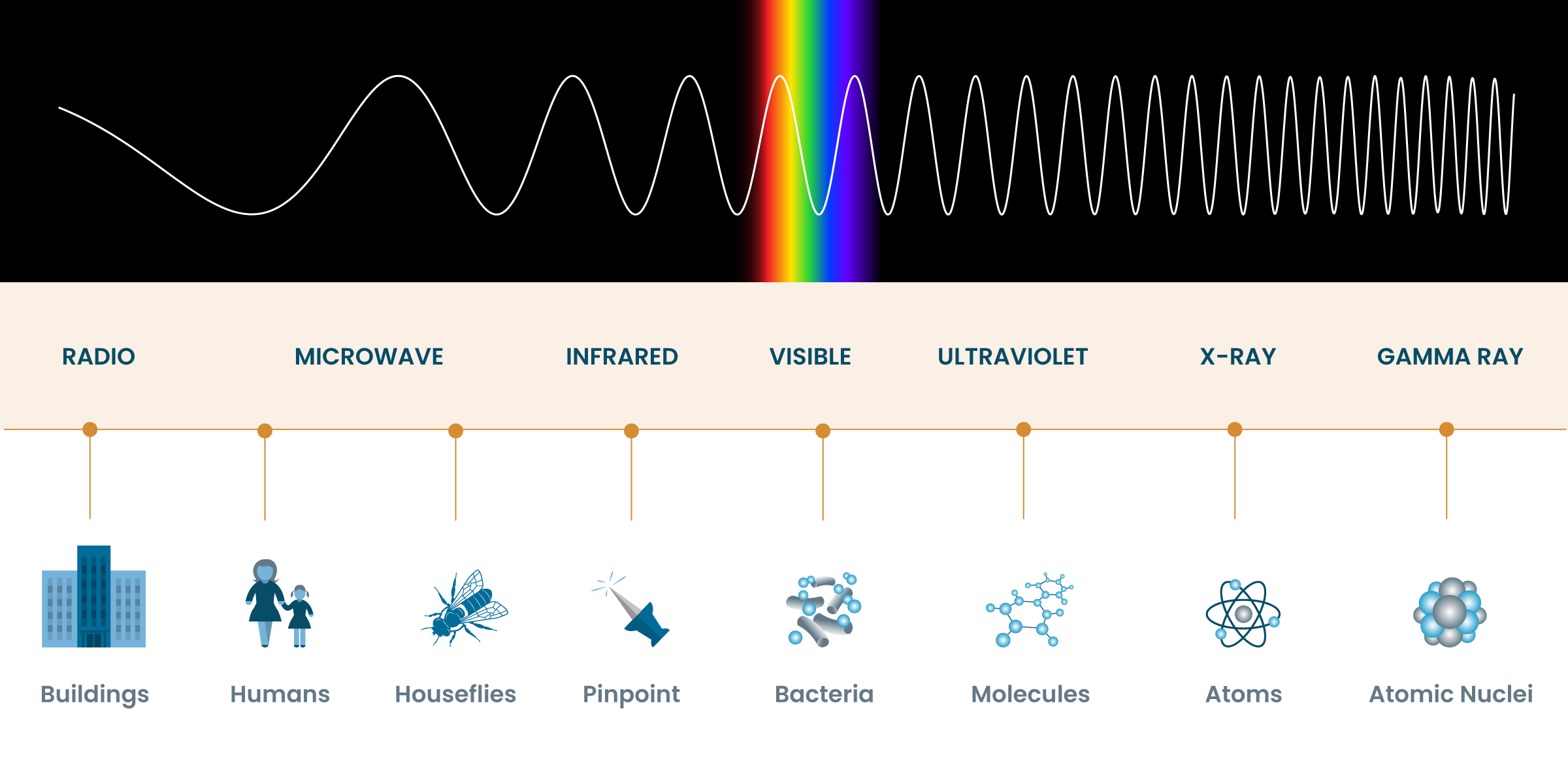 Wavelength Comparison HubbleSite
