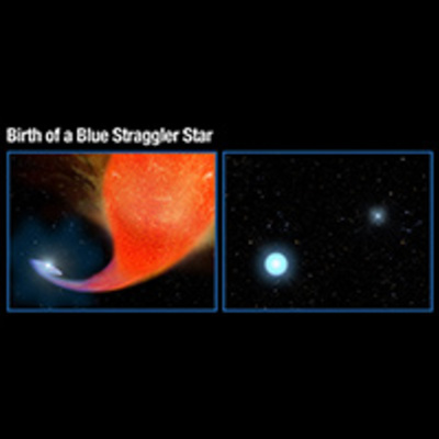 Birth of a Blue Straggler Star