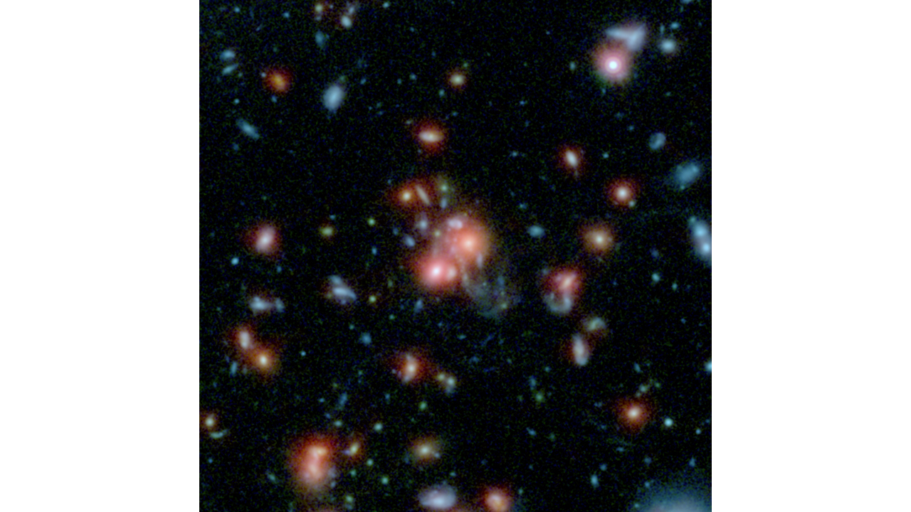  Galaxy Cluster SpARCS1049+56