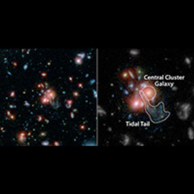 Galaxy Cluster SpARCS1049+56