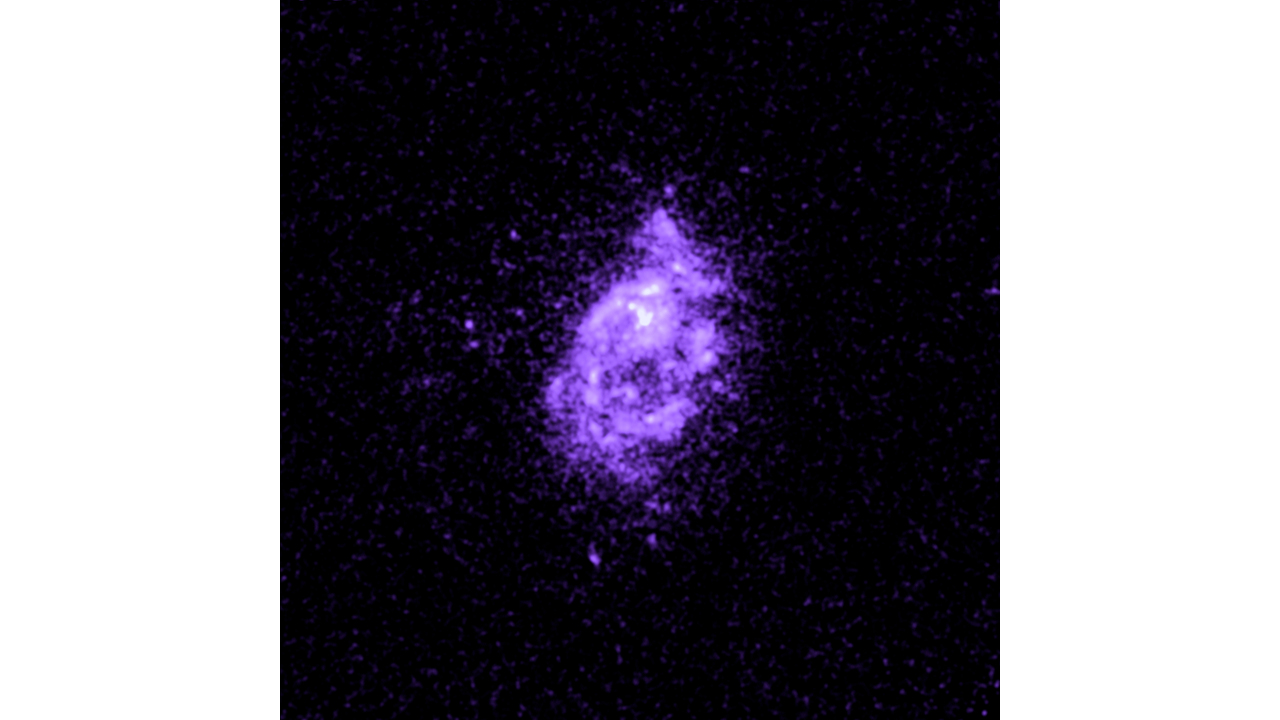  Galaxy ZwCl 8193
