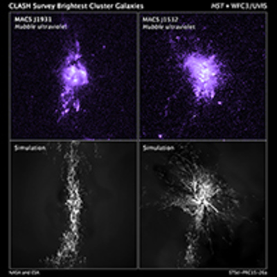 CLASH Survey Brightest Cluster Galaxies and Simulations