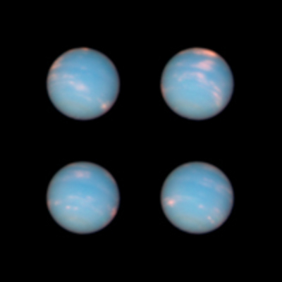 Neptune's Anniversary Portraits