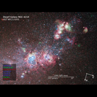 Compass and Scale Image of NGC 4214