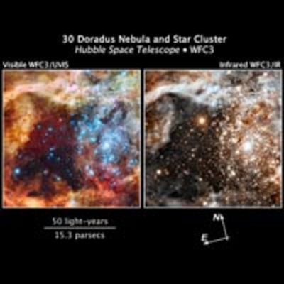 Framed side-by-side comparison of two images titled “30 Doradus Nebula and Star Cluster, Hubble Space Telescope, WFC3” with compass arrows, scale bar, and color key.