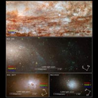 Compass and Scale Images for ANGST Galaxies