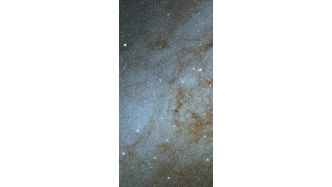  Disk of M82