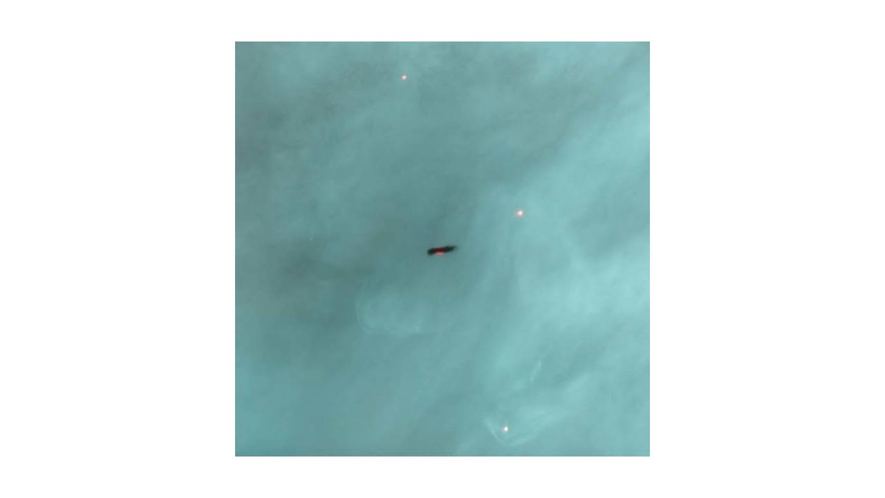  A Protoplanetary Disk Silhouetted Against the Orion Nebula