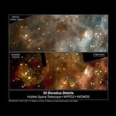 Visible and Infrared Views of Starbirth Region Near Star Cluster R136