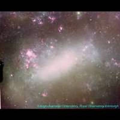 The Large Magellanic Cloud