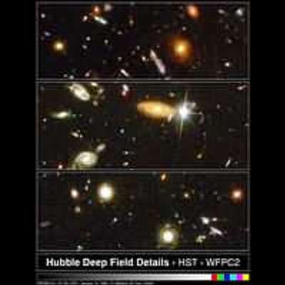 Sample Galaxies from the Hubble Deep Field Image