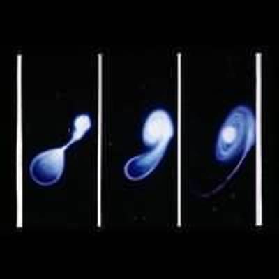 Merger of Two White Dwarf Stars