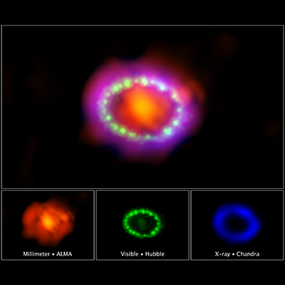 Multiwavelength View of Supernova 1987A