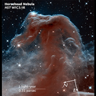 Compass and Scale Image for Horsehead Nebula