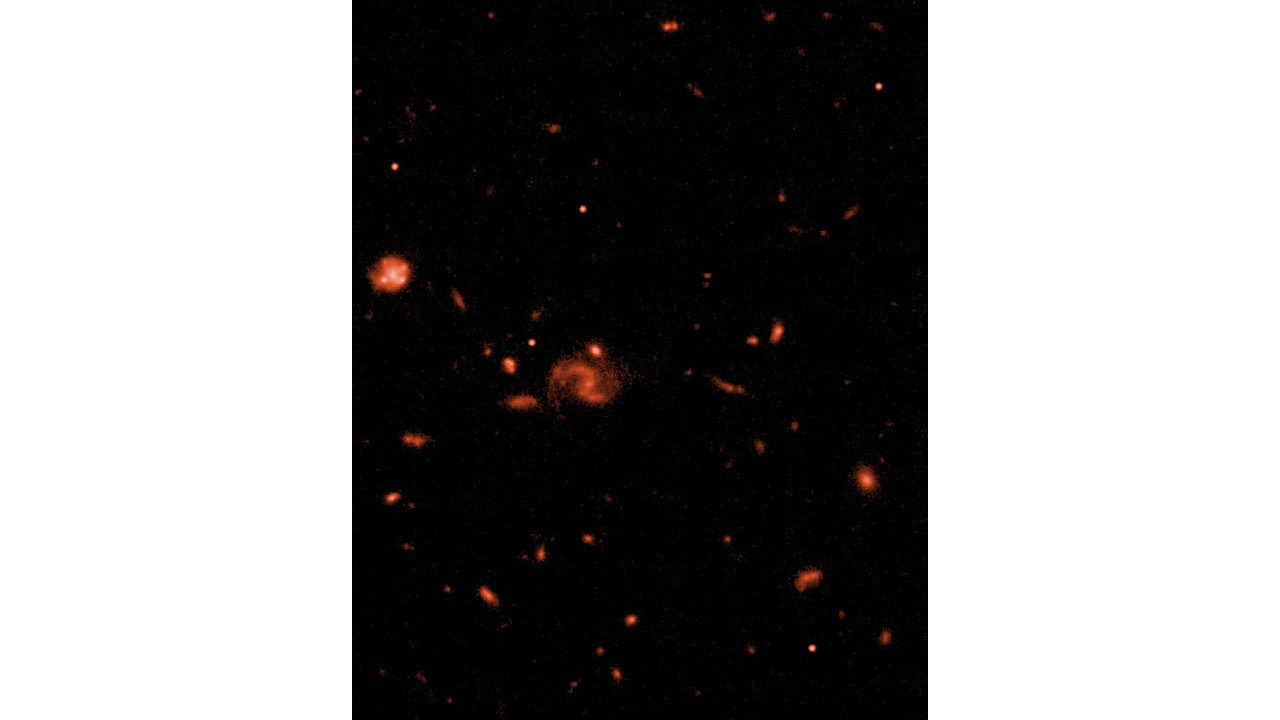  ACS Z-band Simulation of Primordial Galaxies (Annotated)