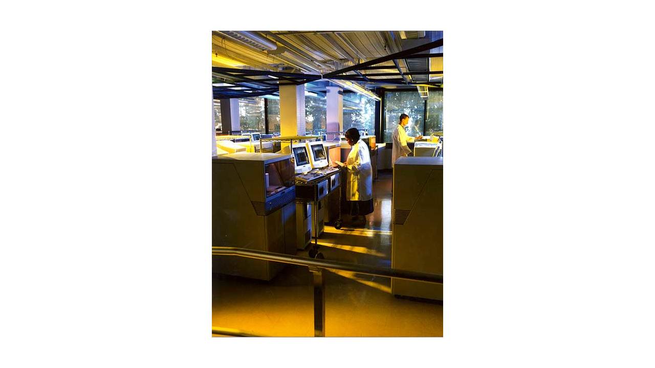 Laboratory Technicians at Work in Celera's Third-Floor Sequencing Lab