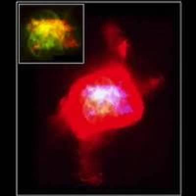 A Turtle-Shaped Nebula, NGC 6210, and the Structure Around Its Star (inset)