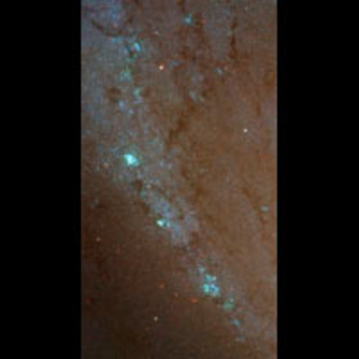 Spiral Galaxy M81 Details 2