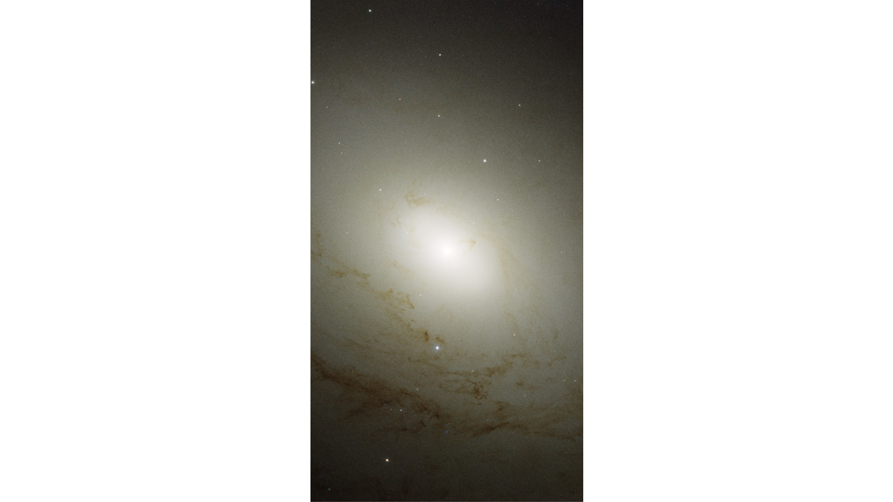 Spiral Galaxy M81 Details 1 HubbleSite