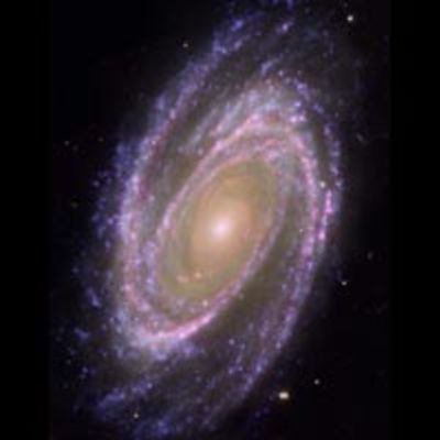Hubble/GALEX/Spitzer Composite Image of M81