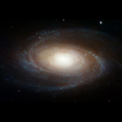 Hubble Photographs Grand Design Spiral Galaxy M81