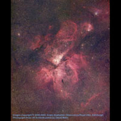 AAO Image of Carina Nebula