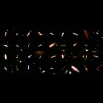 A Gallery of 'Tadpole Galaxies'