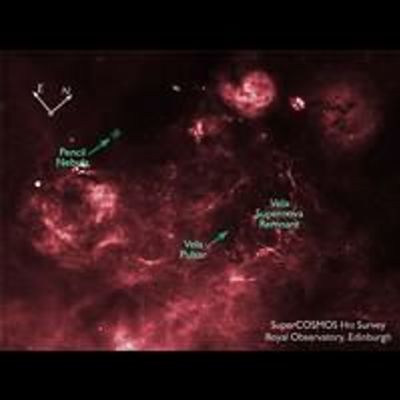SuperCOSMOS H-alpha Survey (SHS) Image of Vela Supernova Remnant