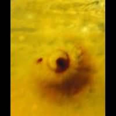 "Overhead" Projection of Large Comet Impact on Jupiter